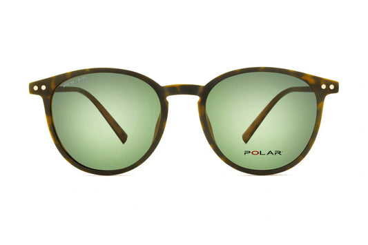Polar 601 Clip One – Havana Vert - Nwadri