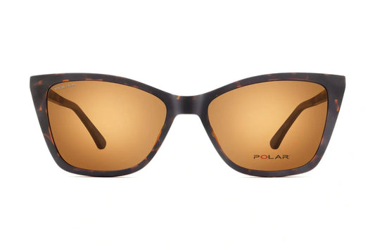 Polar 617 Clip One – Havana Marron - Nwadri