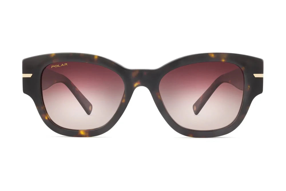 Polar-Gold Calypso - Nwadri