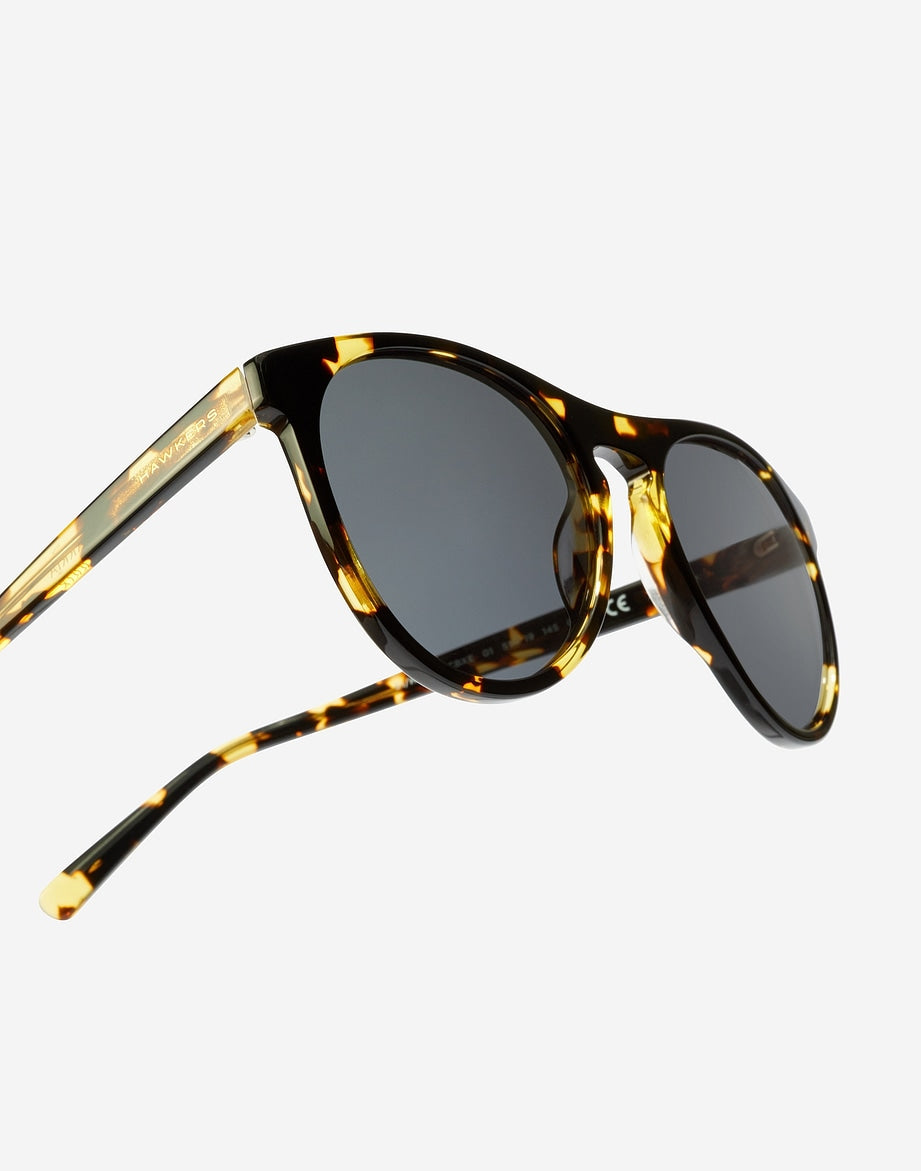 Hawkers Joker - Havane Alligator Polarisé HAWKERS