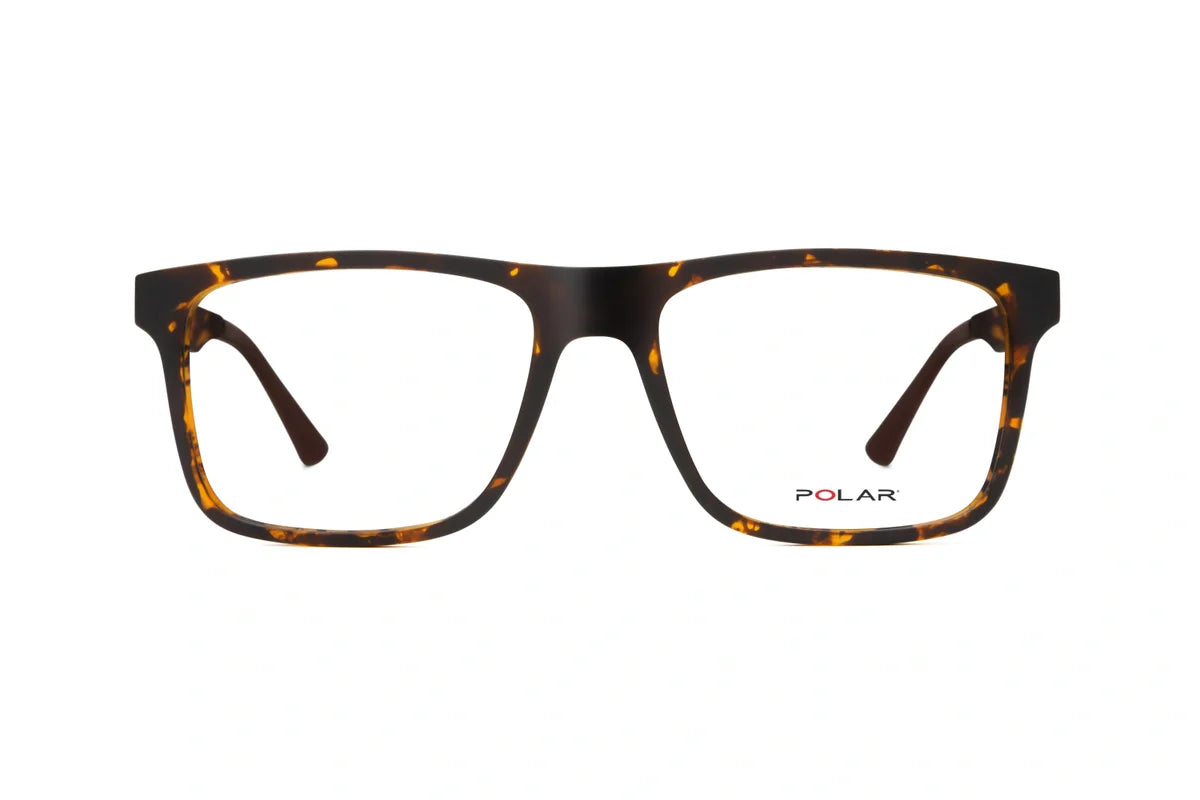 Polar 495 Clip One – Havana Vert - Nwadri