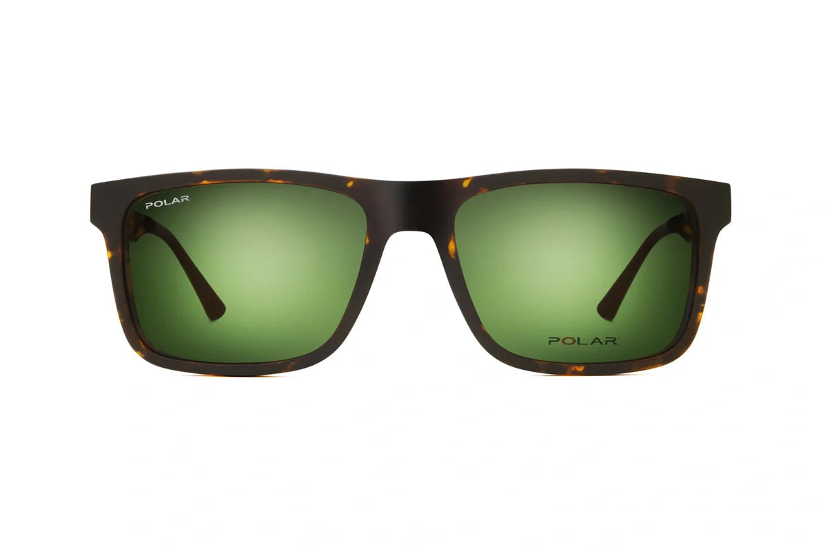 Polar 495 Clip One – Havana Vert - Nwadri