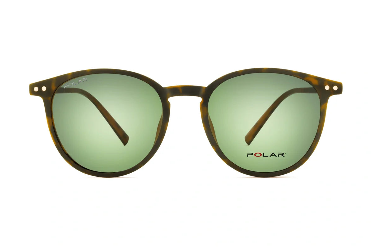 Polar 601 Clip One – Havana Vert - Nwadri
