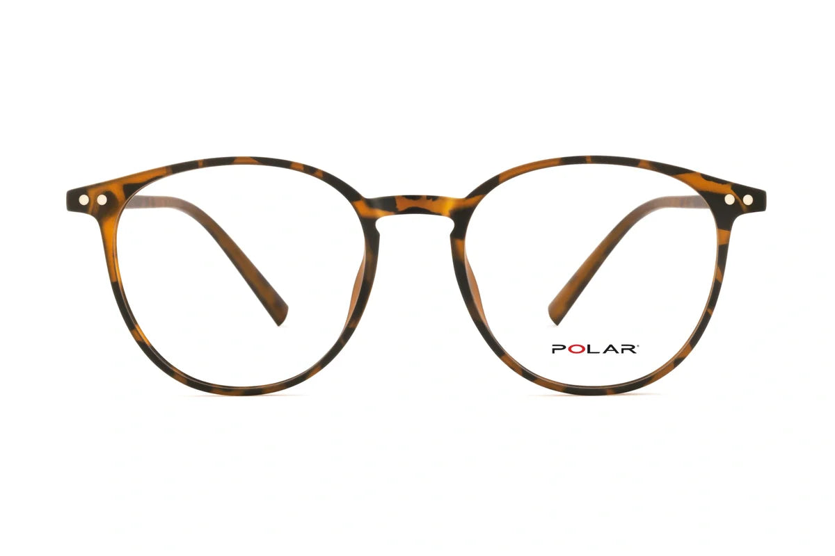 Polar 601 Clip One – Havana Vert - Nwadri