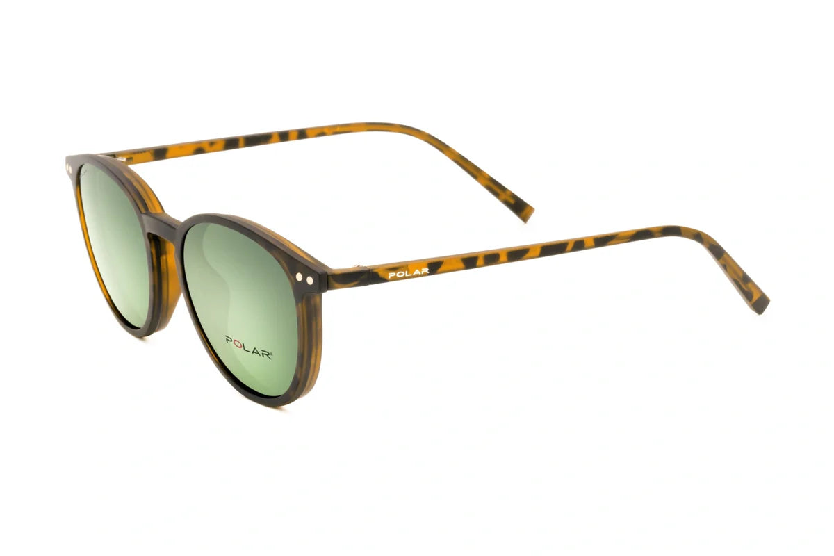 Polar 601 Clip One – Havana Vert - Nwadri