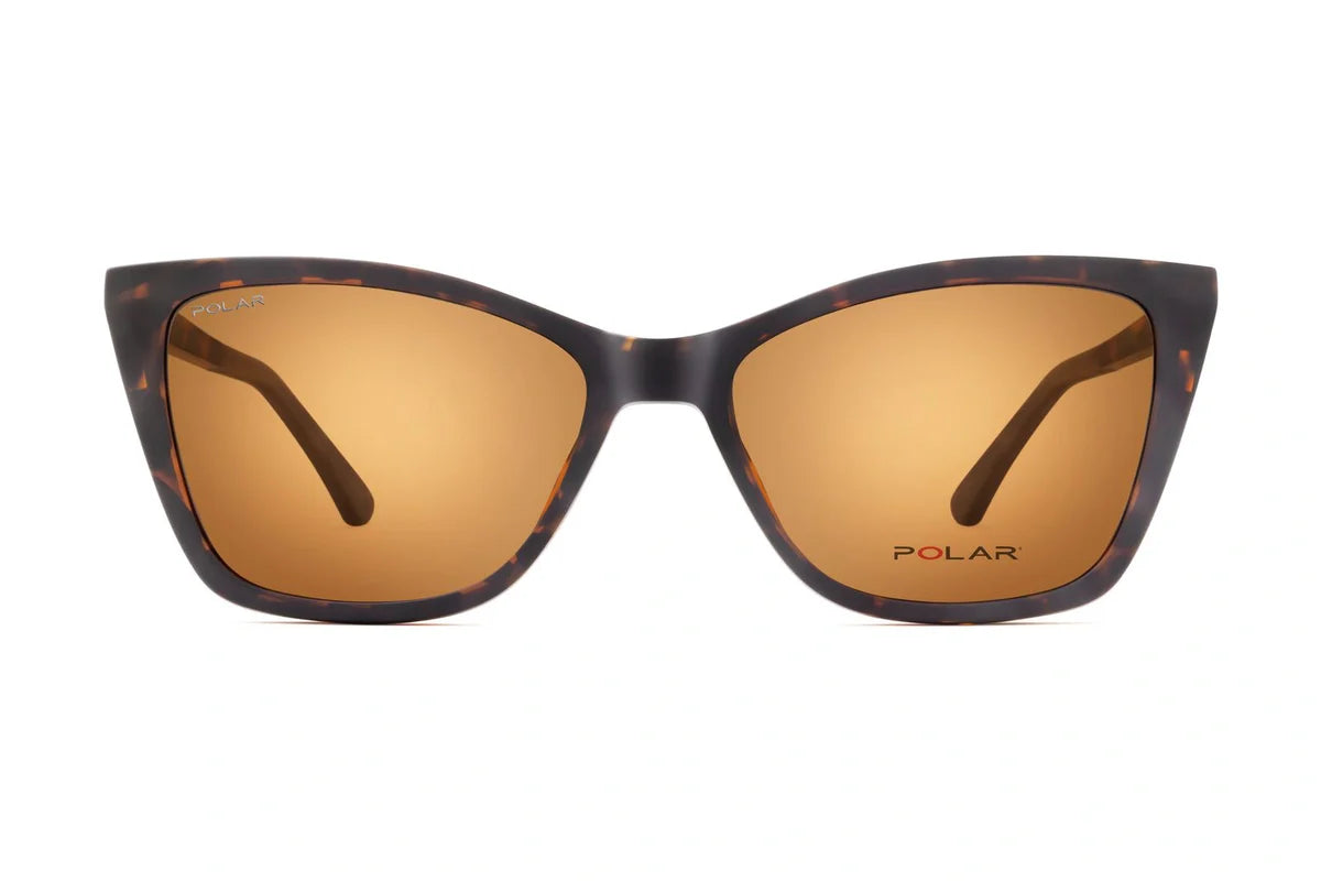 Polar 617 Clip One – Havana Marron - Nwadri