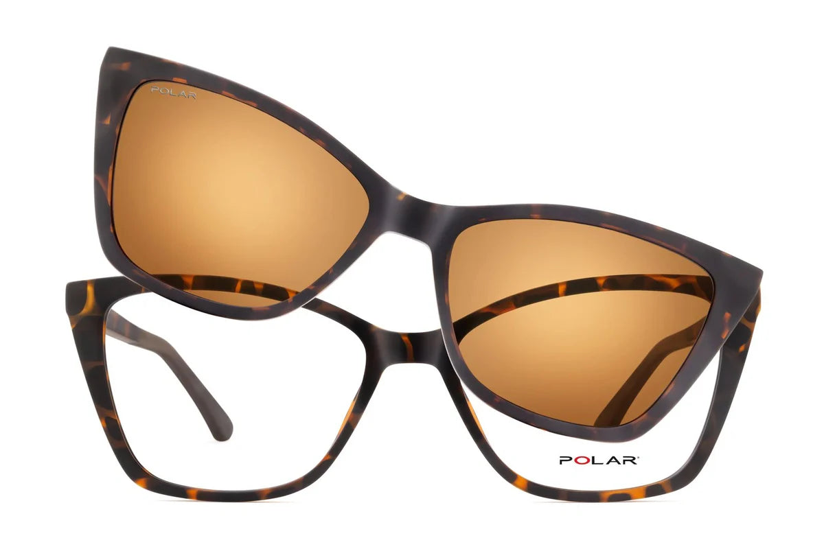 Polar 617 Clip One – Havana Marron - Nwadri