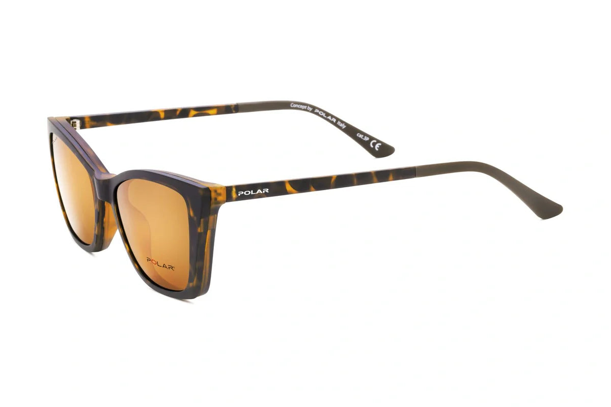 Polar 617 Clip One – Havana Marron - Nwadri